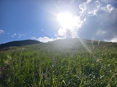 -大围山国家森林公园