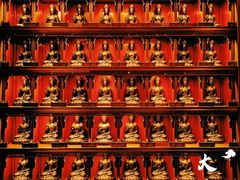 -大佛寺高级素食自助餐厅