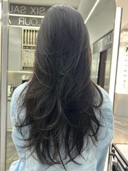 -M6 SALON