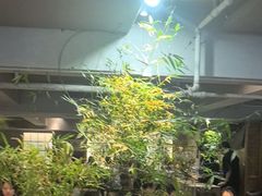-本处·素食·融合料理(南油店)