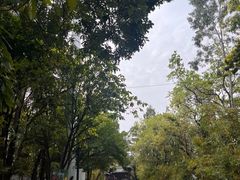 -粤晖园