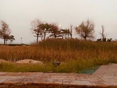 -青岛海泉湾度假区温泉