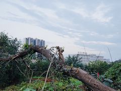 -惠王陵(地铁站)