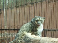 -青藏高原野生动物园