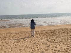 -日照灯塔风景区