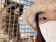 -泉州海丝野生动物世界