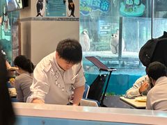 -帝企鹅自助餐厅•儿童岛•真企鹅(长隆企鹅酒店)