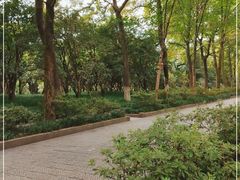 -杭州植物园