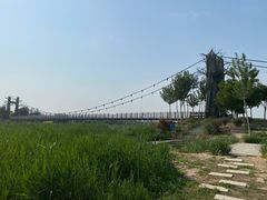 -西青郊野公园