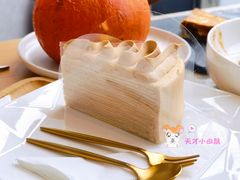 伯爵千层-Bco豆库(雨花客厅店)