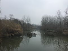 -溱湖国家湿地公园