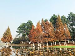 -白塘生态植物园