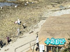-养马岛旅游度假区