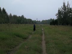 -汉长安城未央宫国家考古遗址公园