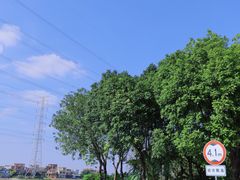 -低涌(地铁站)