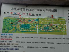 -上海海湾国家森林公园