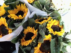 -循礼门鲜花花市(武汉循礼门店)