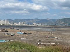 -北岐滩涂