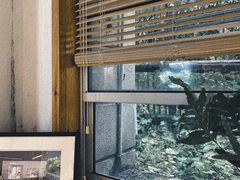 -COTTON CAFE(德信·中外公寓店)