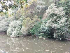 -白水带风景区体育公园