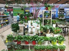 -AEON永旺(东方宝泰店)