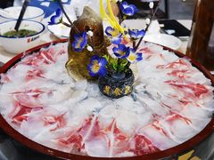 -港升鱼师傅·中山脆肉鲩