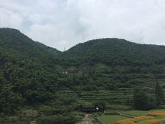 -四明山国家森林公园
