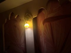 -金色莲花泰式按摩SPA(石牌店)