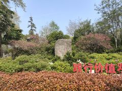 -洛阳市牡丹公园