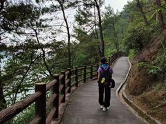 -羚羊峡古栈道森林公园