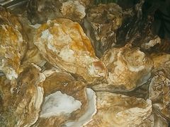 -裕龙汤泉
