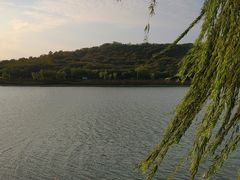 -羊山湖公园