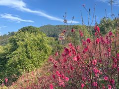 -水濂山森林公园