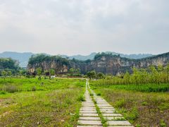 -南山植物园