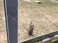 -黄龙溪欢乐田园