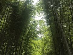 -水墨汀溪风景区