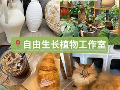 -自由生长植物工作室(深港花卉中心店)
