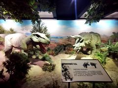 -国家自然博物馆