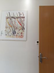 -雍禾植发