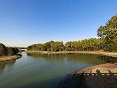 -上海海湾国家森林公园