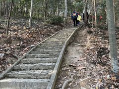 -上海佘山国家森林公园天马山园