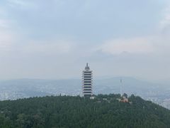 -原山国家森林公园