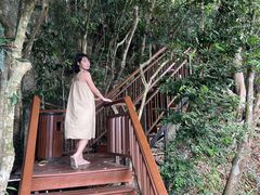 -三亚亚龙湾人间天堂鸟巢度假村