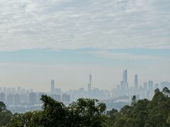-火炉山森林公园