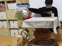 -猫色咖啡·猫咖