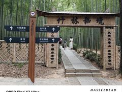 -大奇山国家森林公园
