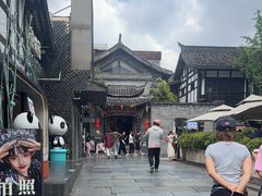 -小龙翻大江文化火锅(宽窄店)