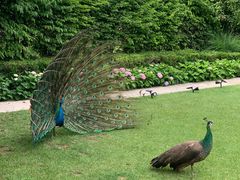 -J Create城市露营咖啡·简餐·宠物(上海动物园店)