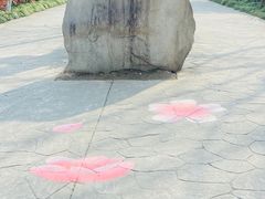 -高东镇樱花园