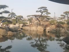 -罗红摄影艺术馆